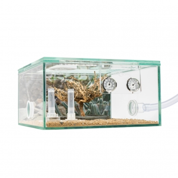 Preview: Natural bush on slate - Small